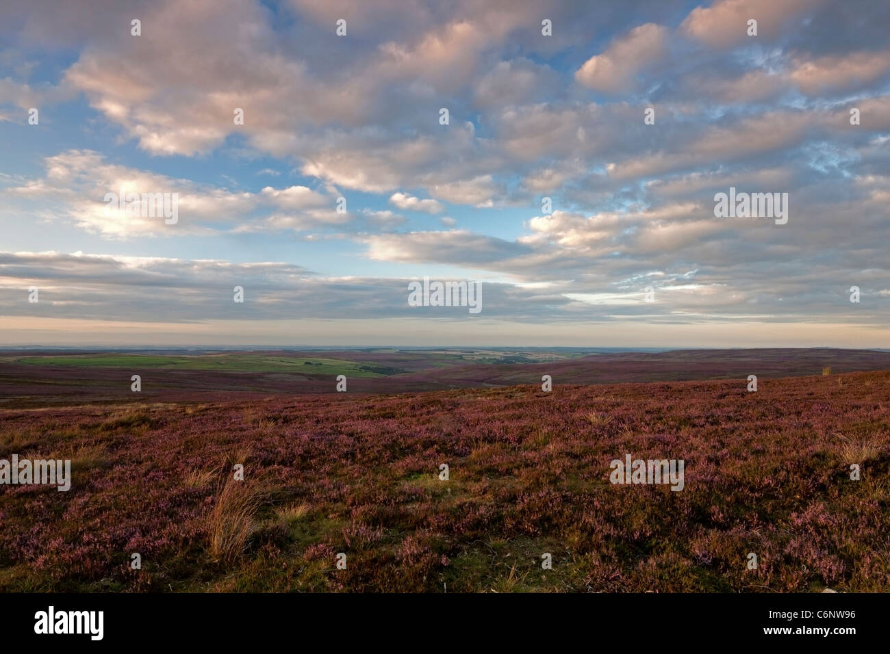 Blanchland Moor al tramonto, vicino Blanchland, Northumberland Foto Stock