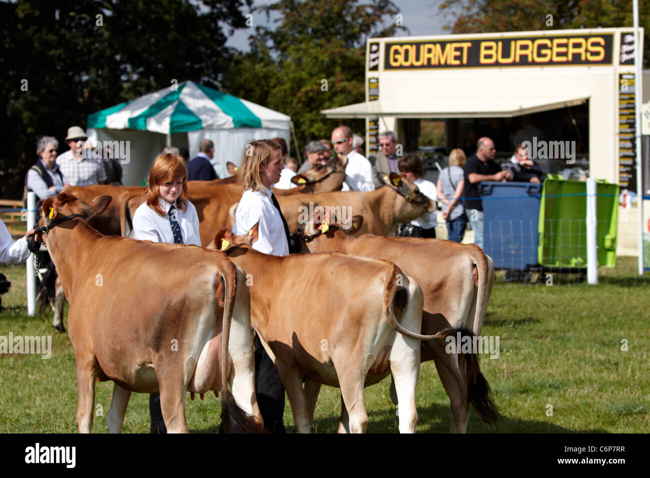Le mucche sono round led mostrano un anello nella parte anteriore di un burger van presso la contea di Bucks Show 2011 Foto Stock