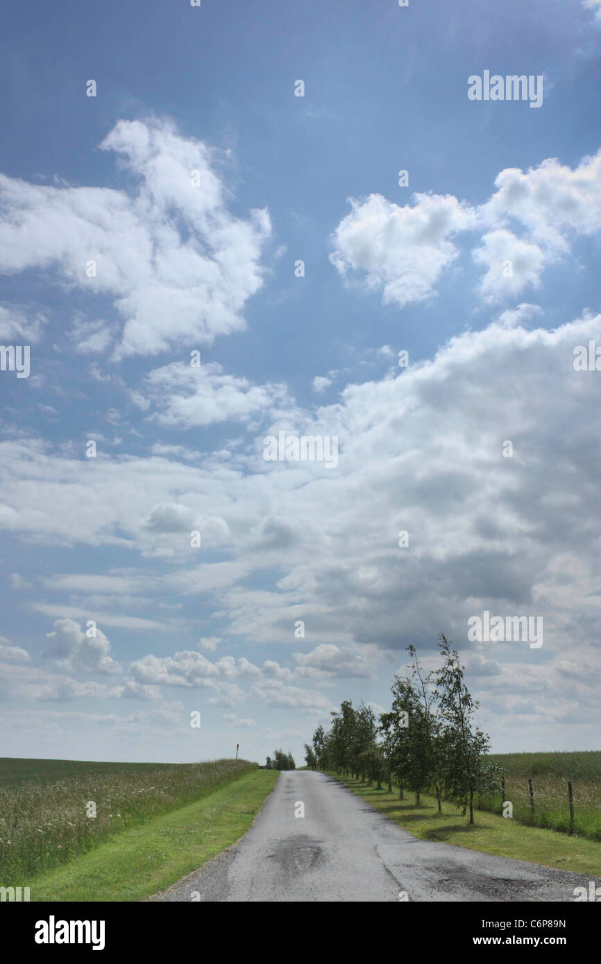 Piccola strada alberata in Lincolnshire settentrionale Foto Stock