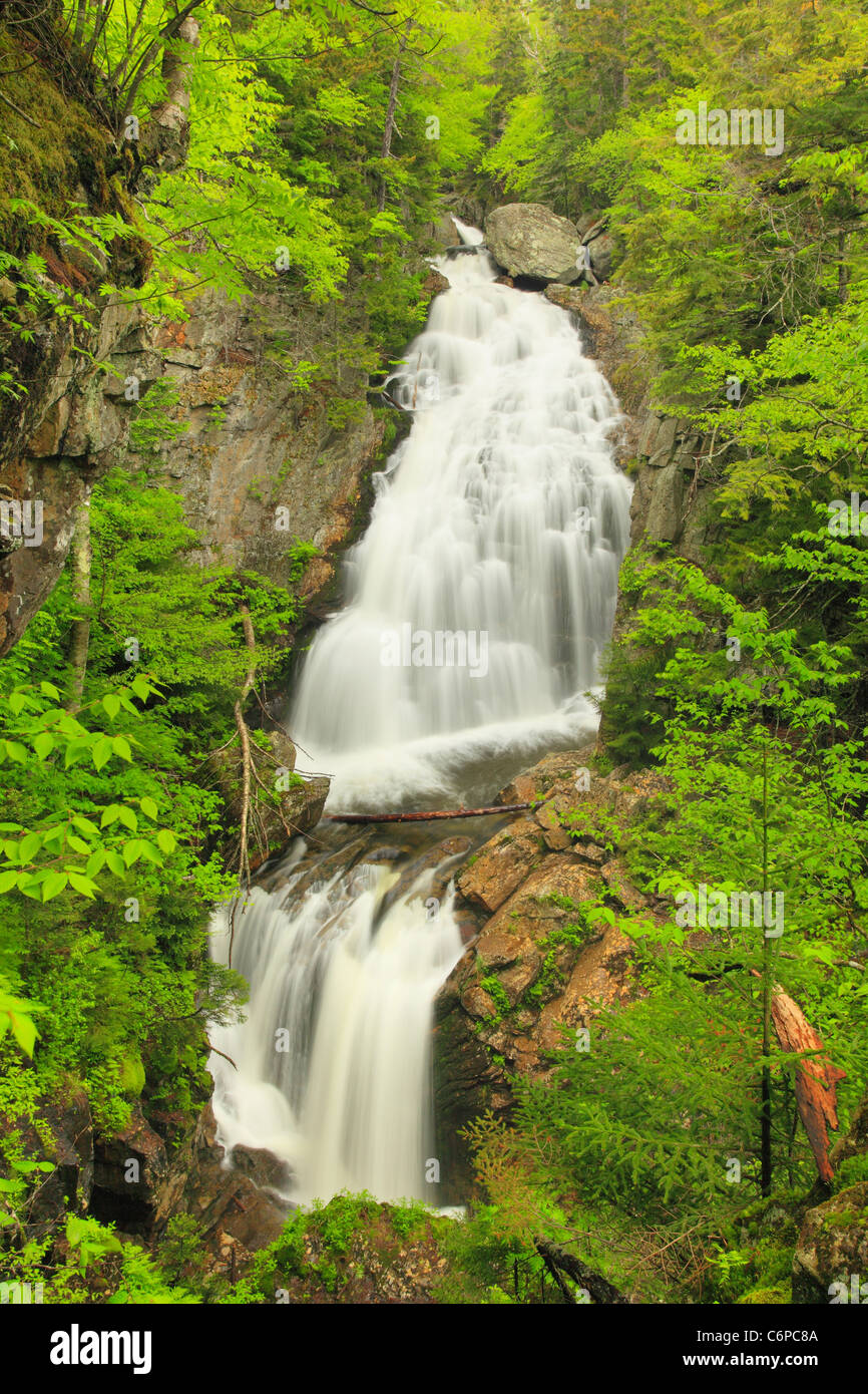 Cascata di cristallo, Pinkham tacca, White Mountains, New Hampshire, STATI UNITI D'AMERICA Foto Stock