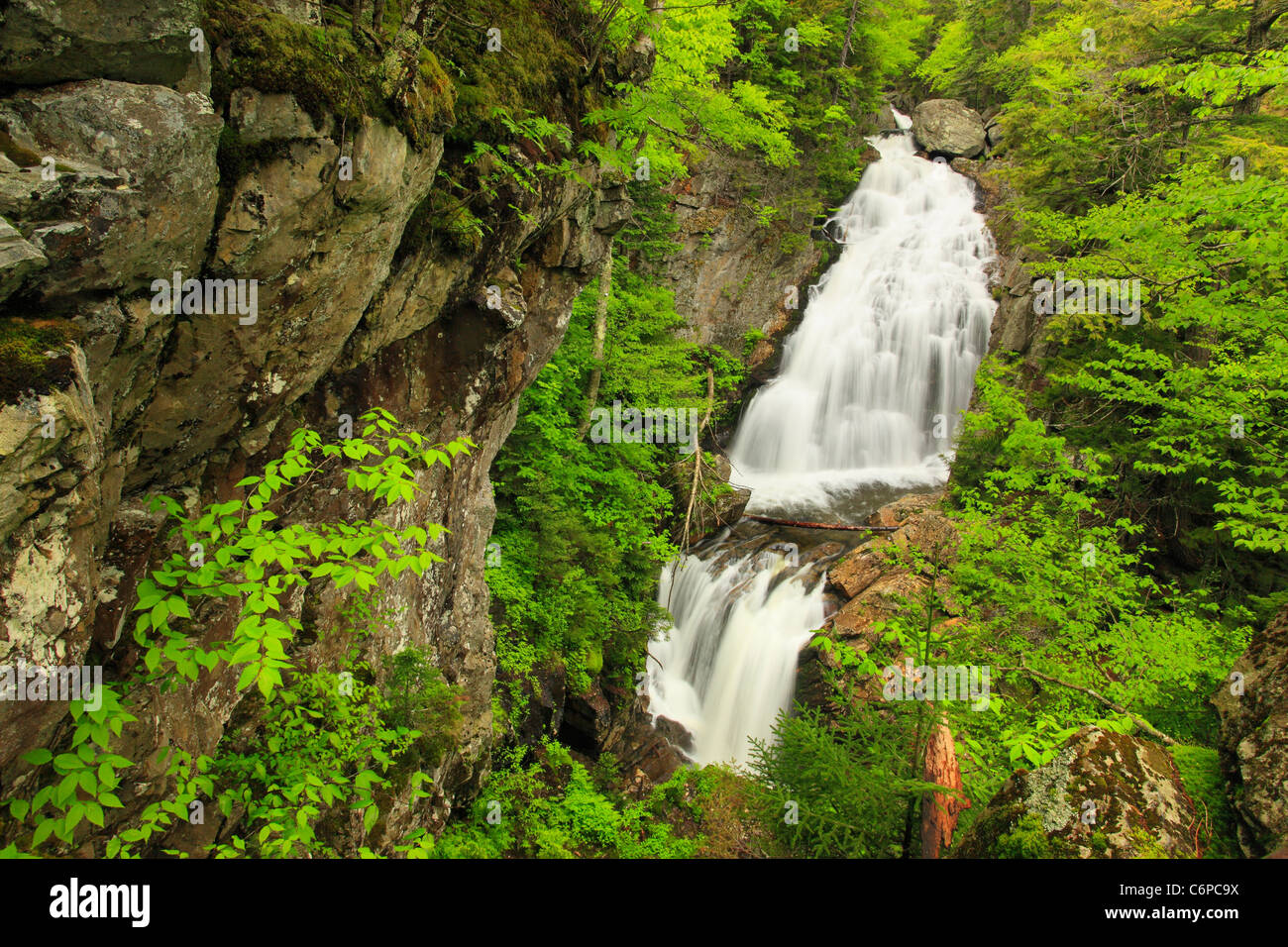 Cascata di cristallo, Pinkham tacca, White Mountains, New Hampshire, STATI UNITI D'AMERICA Foto Stock