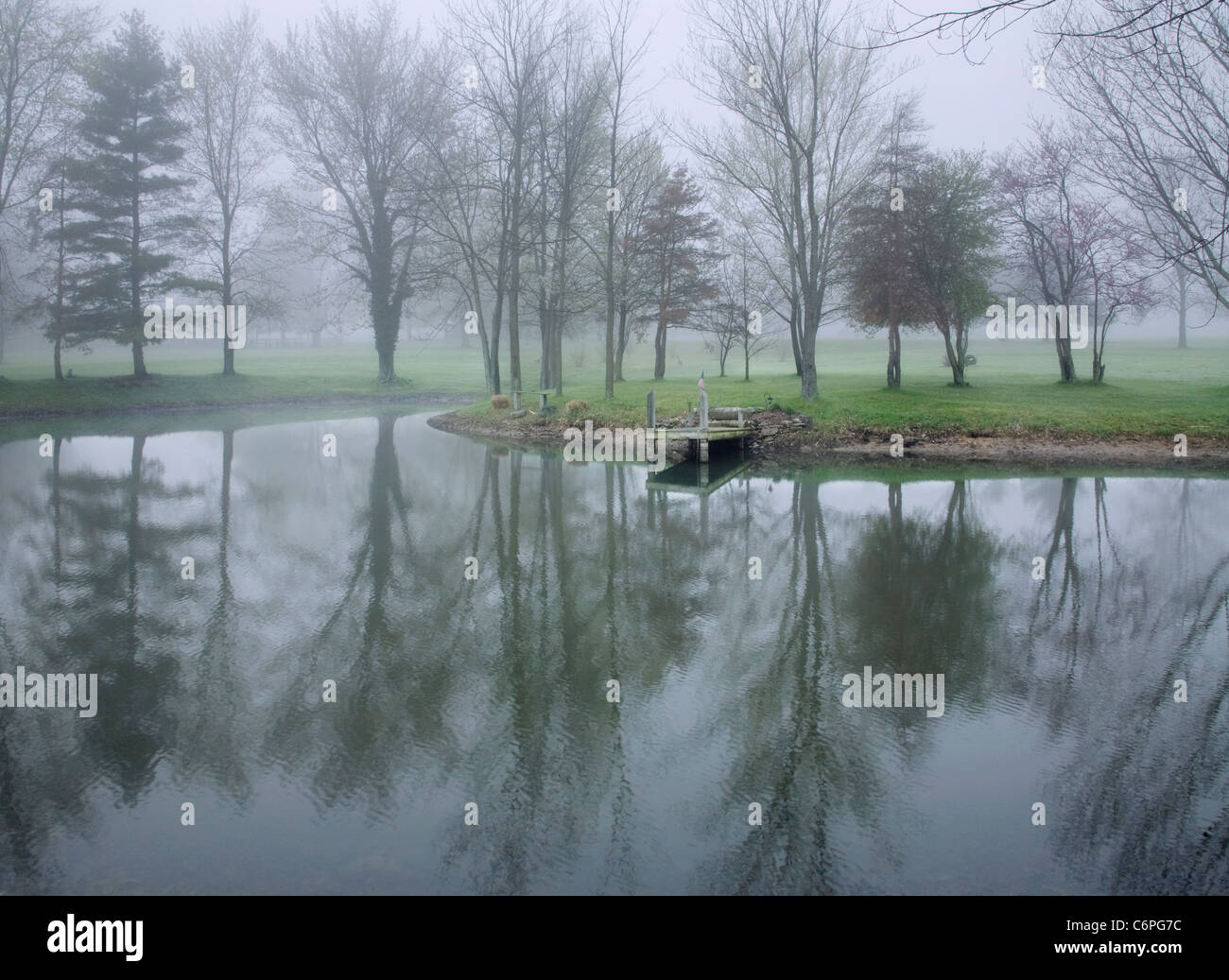 Gli alberi si riflette in un stagno su una mattinata nebbiosa in a sudovest Ohio, Stati Uniti d'America Foto Stock