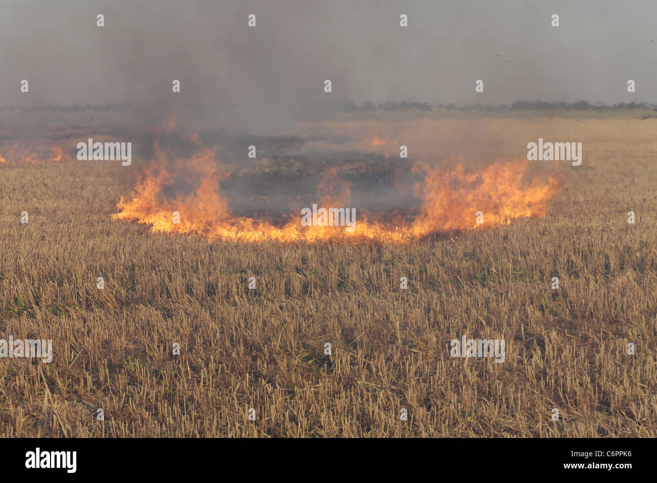 Il fuoco nel campo di stoppie di frumento Foto Stock