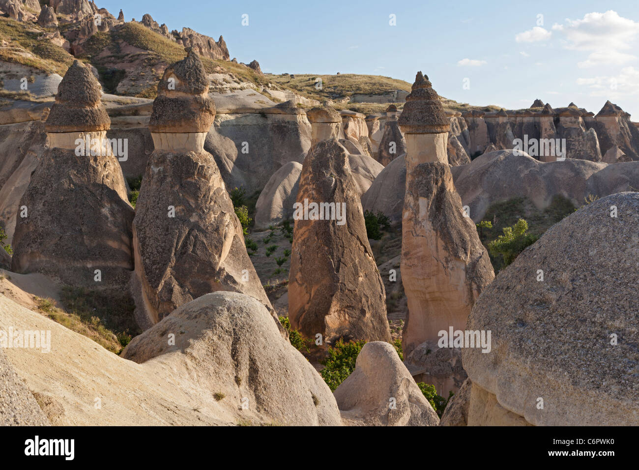 A forma di testa di fungo Camini di Fata, monaci valley, Pasabagi Valley vicino a Goereme, Cappadocia, Anatolia centrale, Turchia, Asia Foto Stock