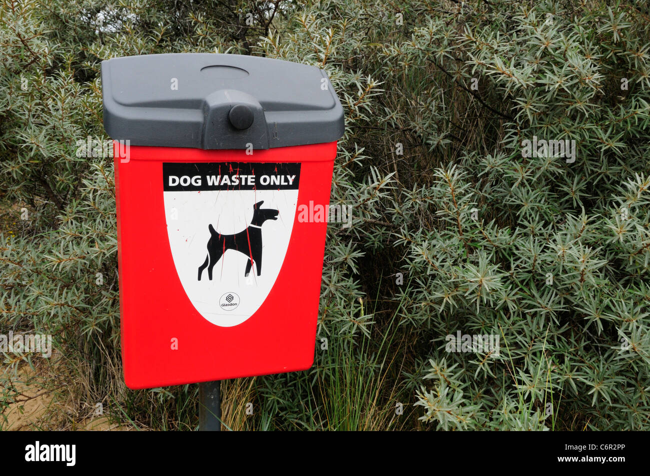Cane soltanto Rifiuti Cucciolata Bin, Holme accanto al mare, Norfolk, Inghilterra, Regno Unito Foto Stock