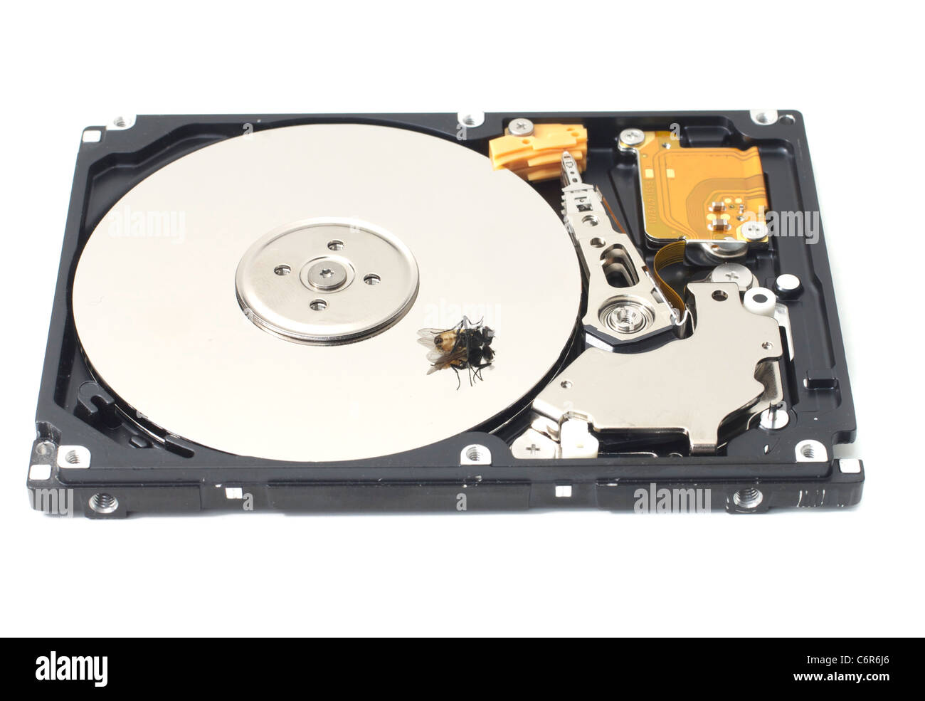 Una mosca morta seduta su un open disco rigido SATA Foto Stock