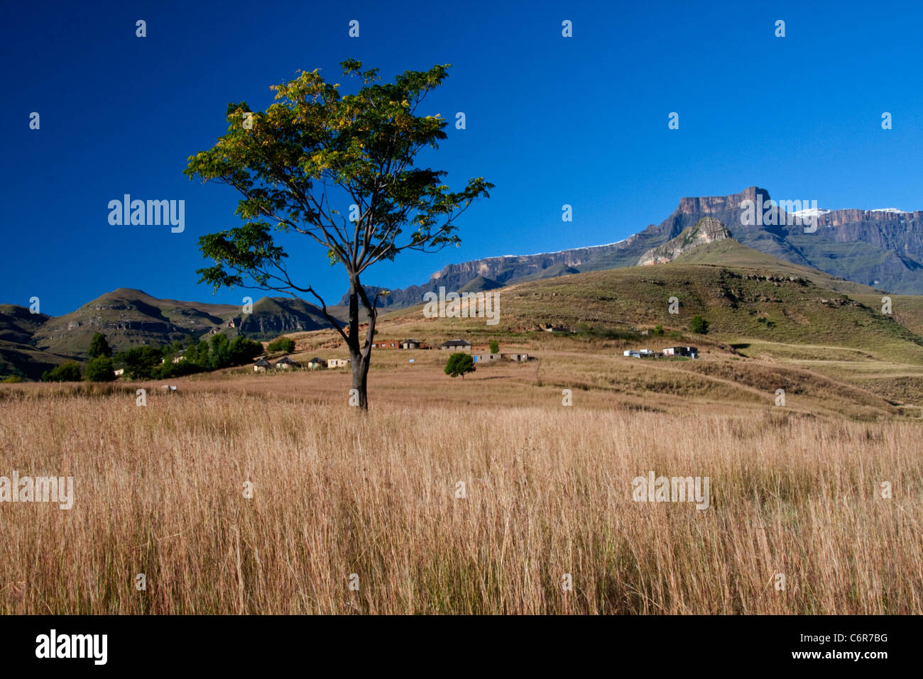 Natal Drakensberg paesaggi con un pendio erboso con distante pendii montani e picchi Foto Stock