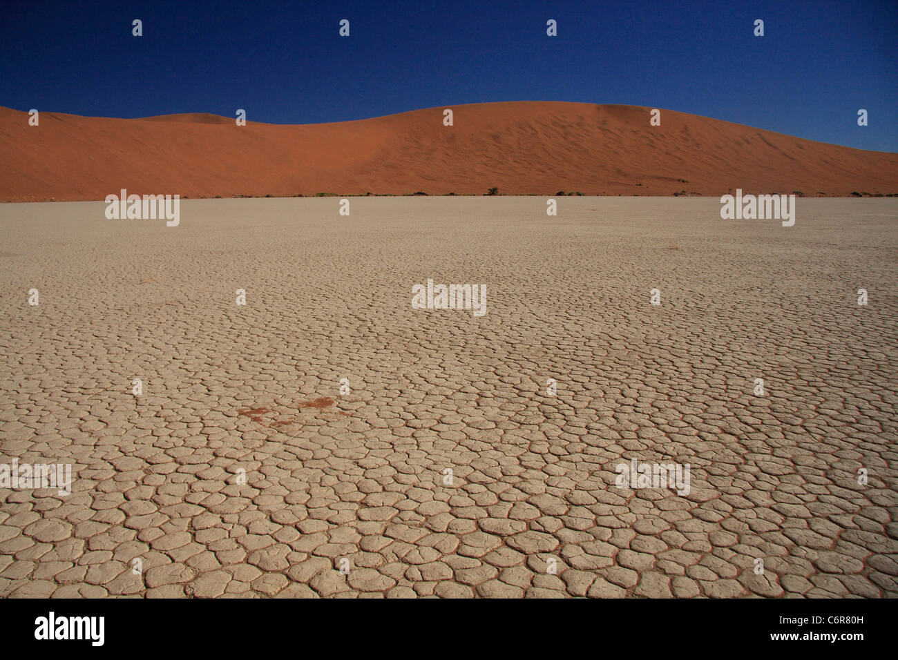 Asciugare la superficie della coppa contro la duna rossa Foto Stock