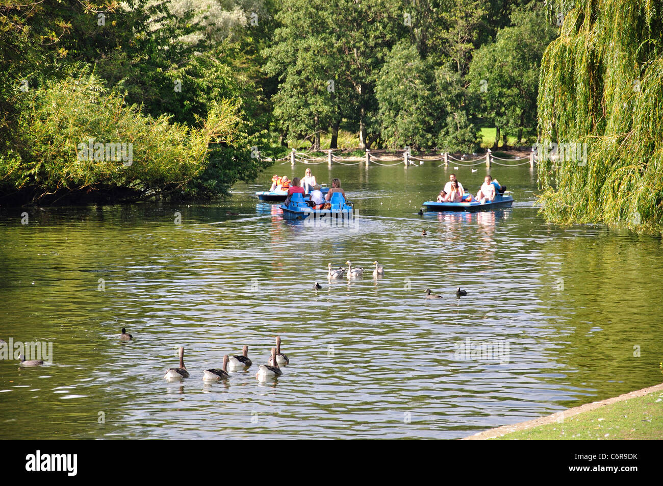 Gite in barca sul lago, Regent's Park, City of Westminster, London, Greater London, England, Regno Unito Foto Stock