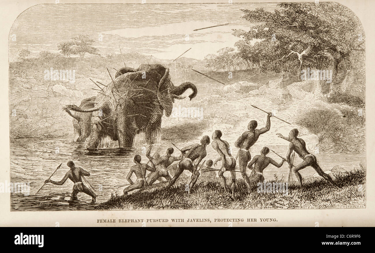 Illustrazione dei nativi di elefante di caccia con le lance in Zambesi valle, da David Livingstone's prenota Foto Stock