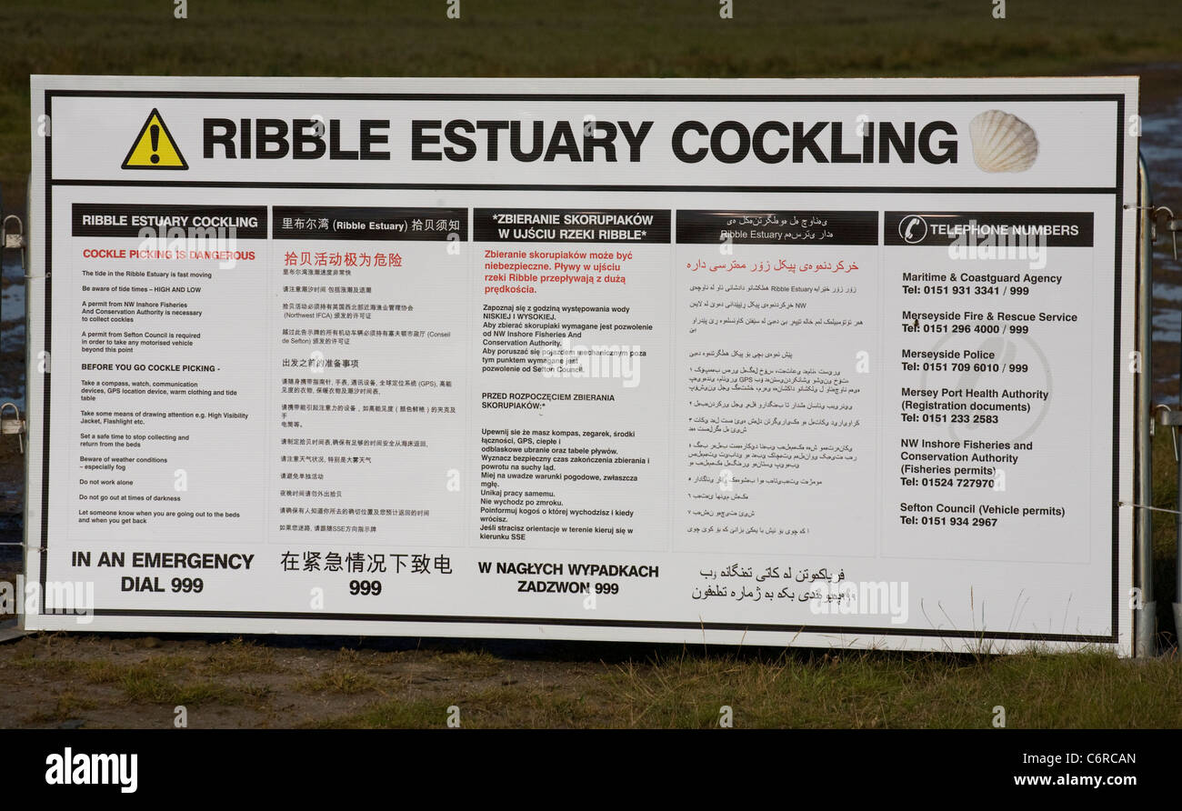Spiaggia a Cocklers Marshside all'inizio dell'arricciatura stagione della raccolta. Licenza di raccolta a mano a Southport, Merseyside, Regno Unito Foto Stock