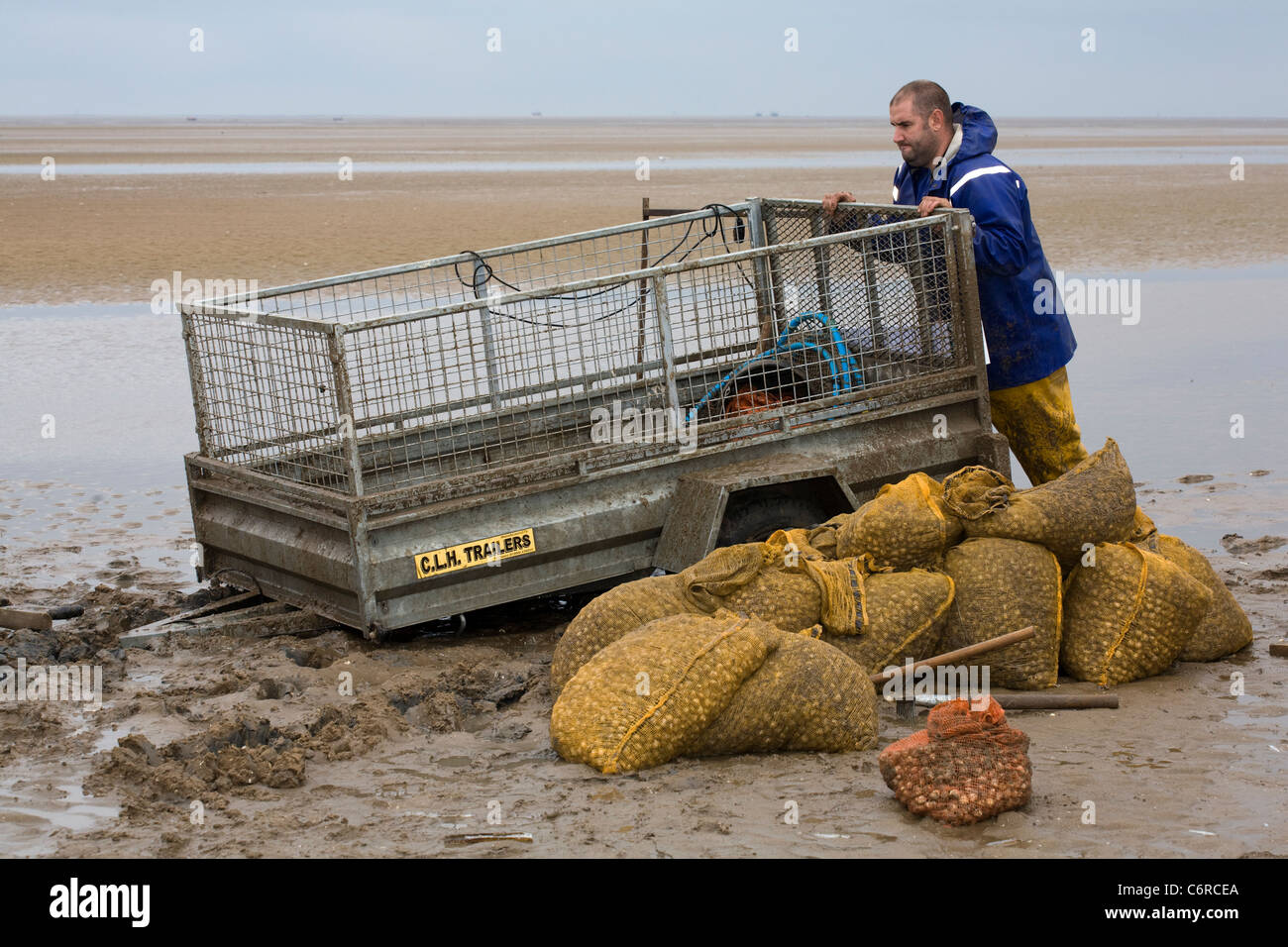 Cocktail in spiaggia con bassa marea su appartamenti di sabbia a Marshside all'inizio della stagione di Cockle picking. Incontro con le mani autorizzato a Southport, Merseyside, Regno Unito Foto Stock