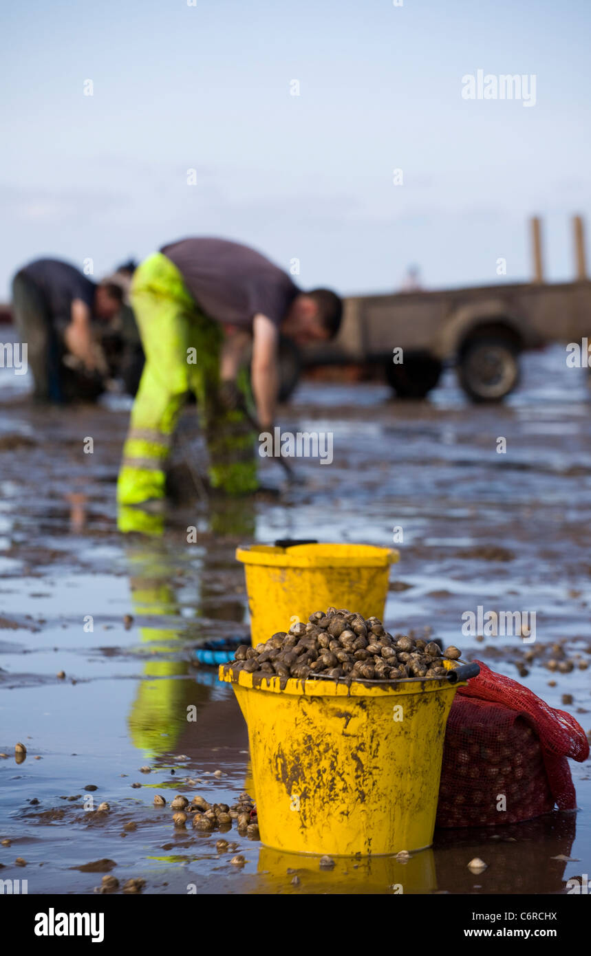 Cocktail in spiaggia con bassa marea su appartamenti di sabbia a Marshside all'inizio della stagione di Cockle picking. Incontro con le mani autorizzato a Southport, Merseyside, Regno Unito Foto Stock