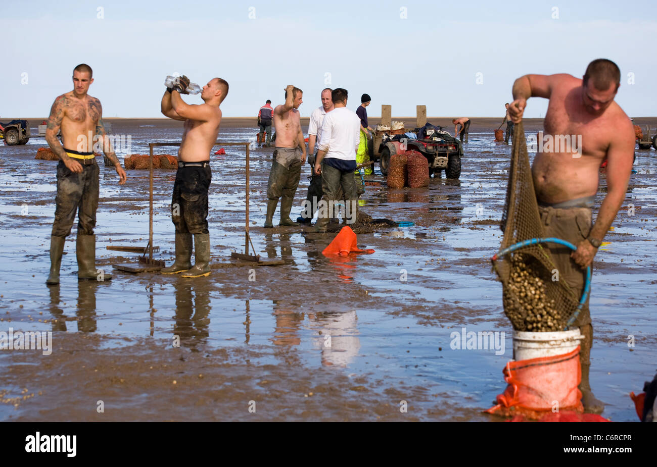 Cocktail in spiaggia con bassa marea su appartamenti di sabbia a Marshside all'inizio della stagione di Cockle picking. Incontro con le mani autorizzato a Southport, Merseyside, Regno Unito Foto Stock