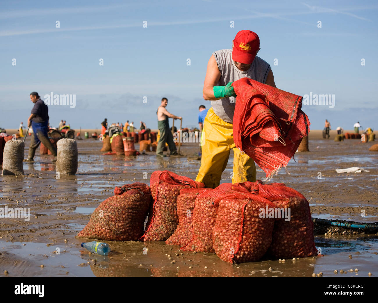 Cocktail in spiaggia con bassa marea su appartamenti di sabbia a Marshside all'inizio della stagione di Cockle picking. Incontro con le mani autorizzato a Southport, Merseyside, Regno Unito Foto Stock