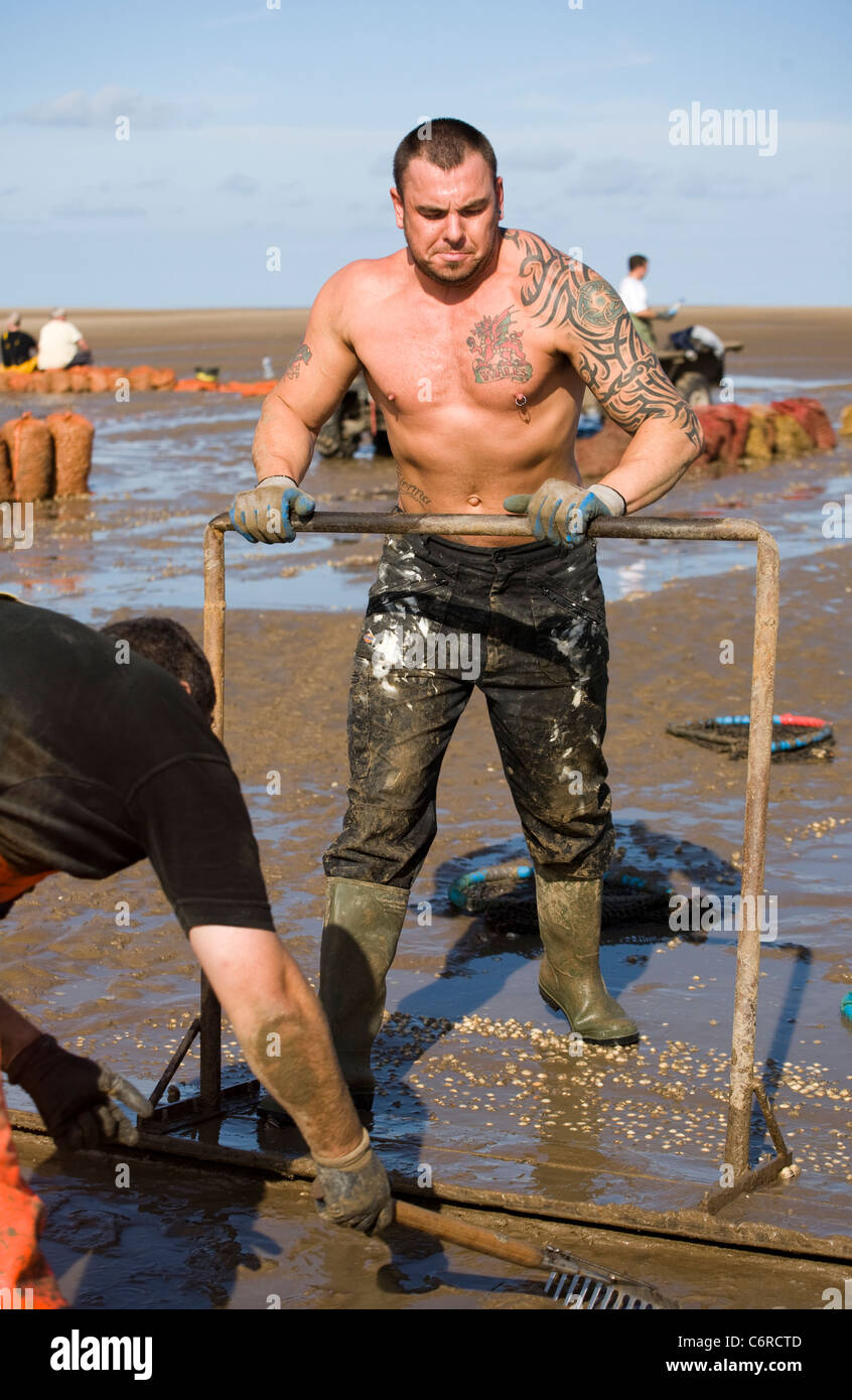 Cocktail in spiaggia con bassa marea su appartamenti di sabbia a Marshside all'inizio della stagione di Cockle picking. Incontro con le mani autorizzato a Southport, Merseyside, Regno Unito Foto Stock