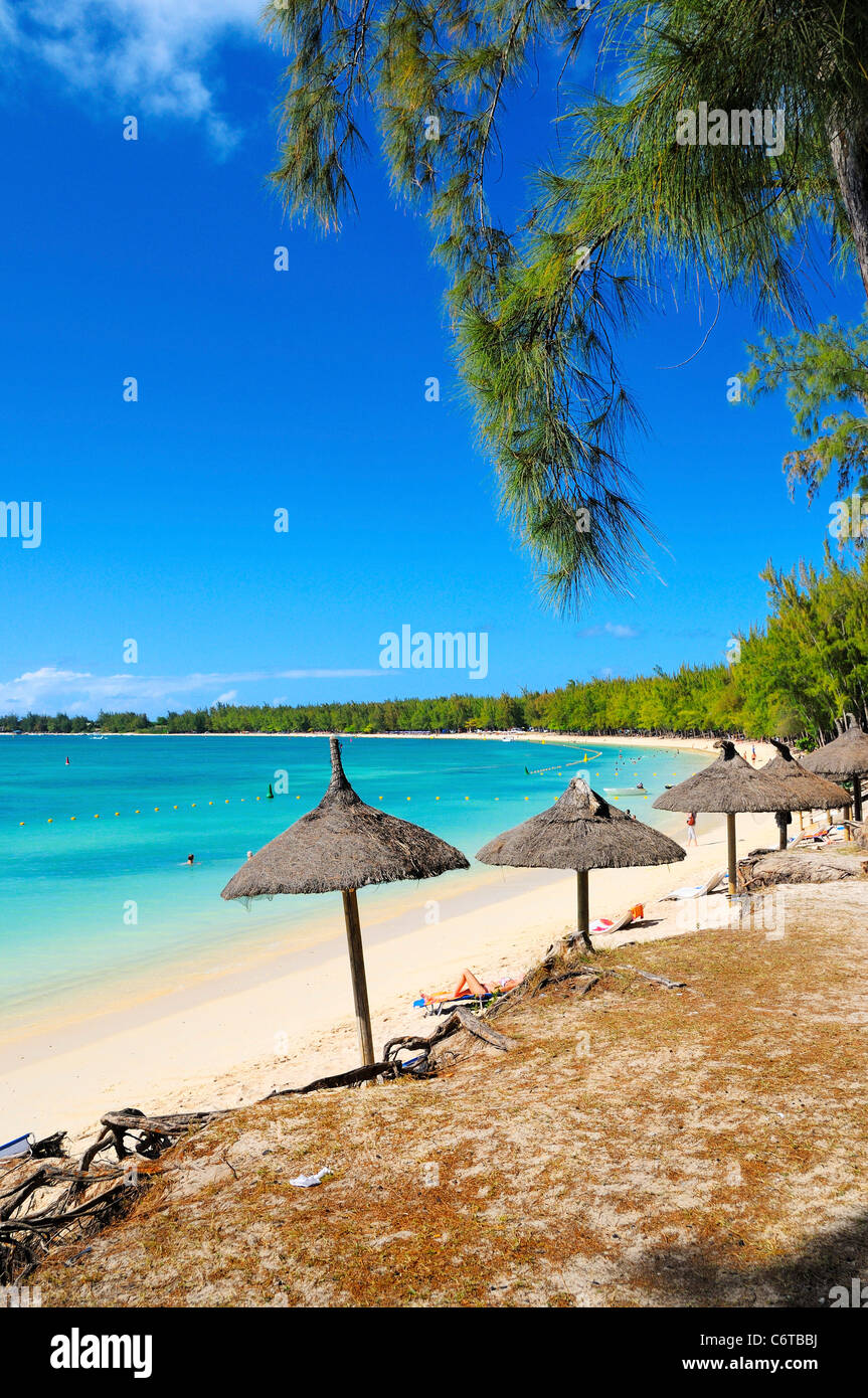 La lunga e sabbiosa spiaggia di Mon Choisy, Pamplemousses, Mauritius. Foto Stock