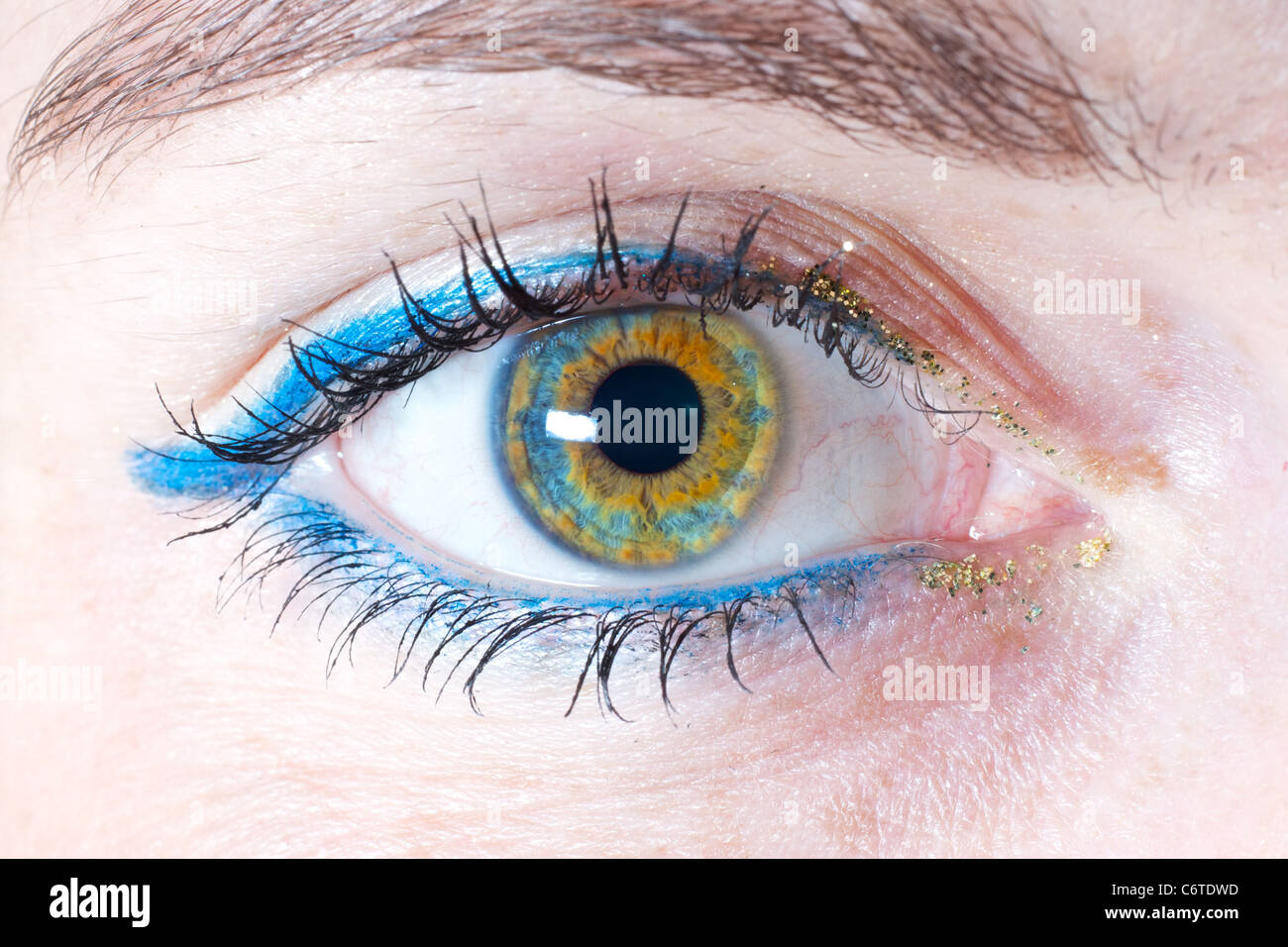 Immagine ravvicinata di un occhio azzurro Foto Stock
