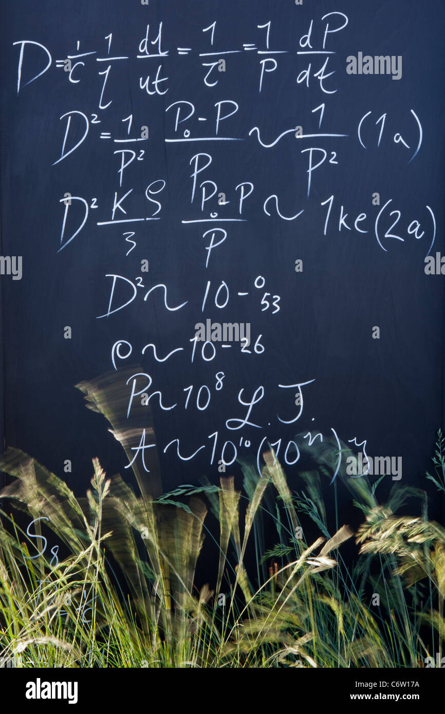 Aggiudicati la Flora di argento "nell'equilibrio" Malvern Giardinaggio molla Show 2011 giardino disegnato da Caroline e Butler Foto Stock