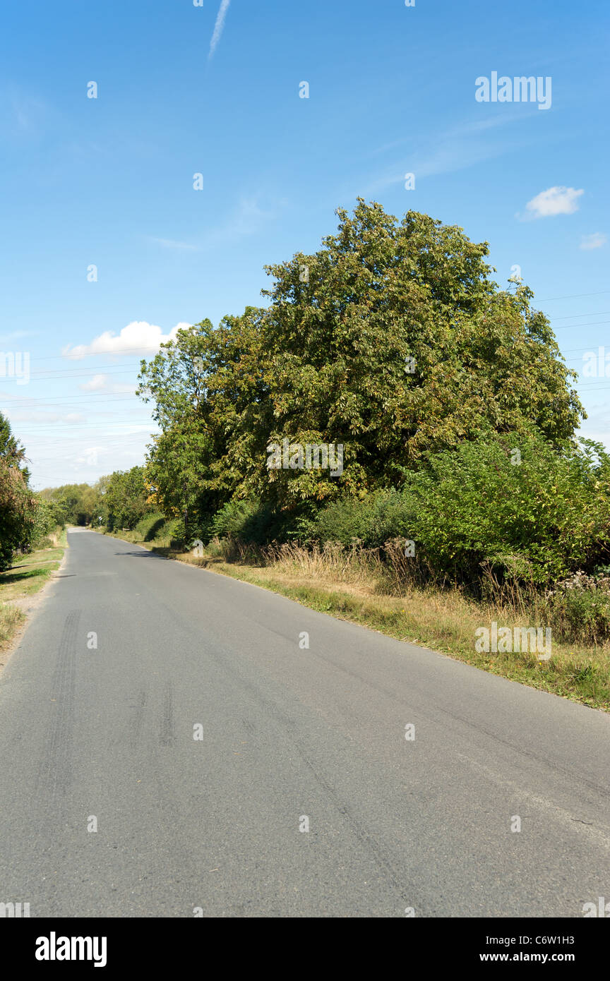 Long Marston Road, Mickleton, Gloucestershire, England, Regno Unito Foto Stock