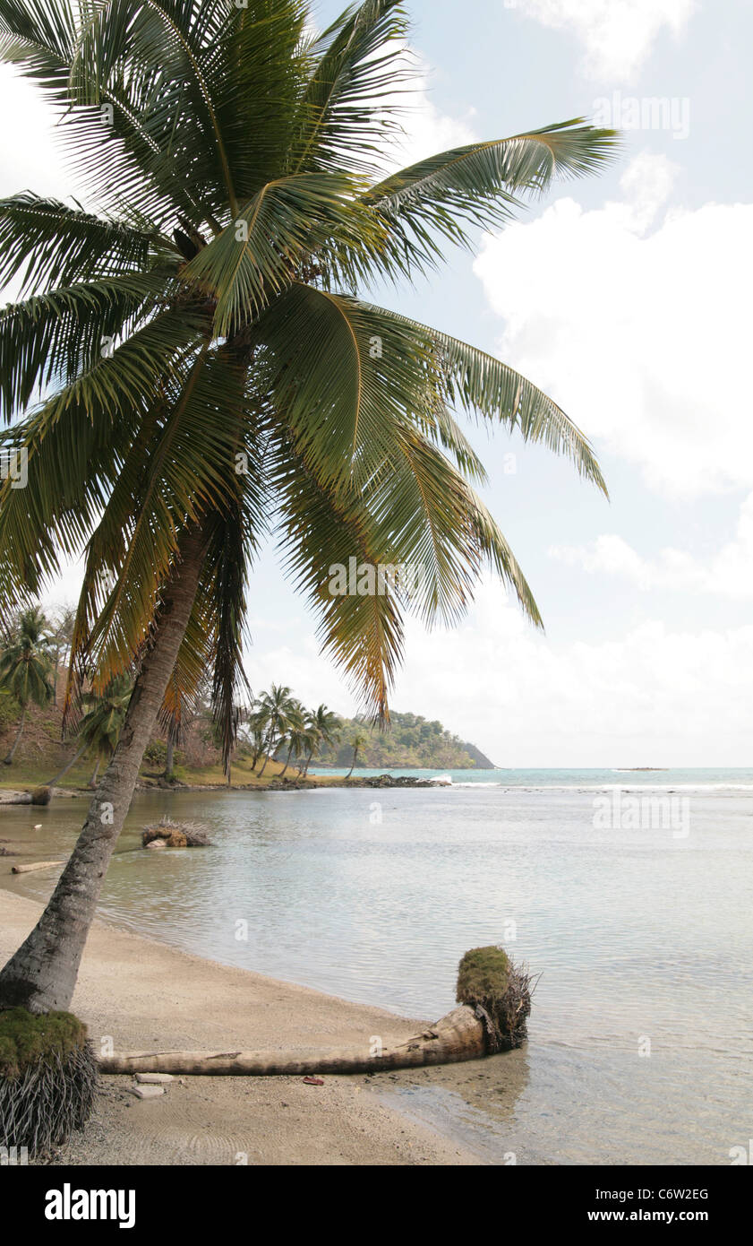 Costa Caraibica spiaggia di Punta di Manzanillo, Colon, Panama, regione di La Guaira, vicino a Isla Grande, durante un tropicale giornata di sole. Foto Stock