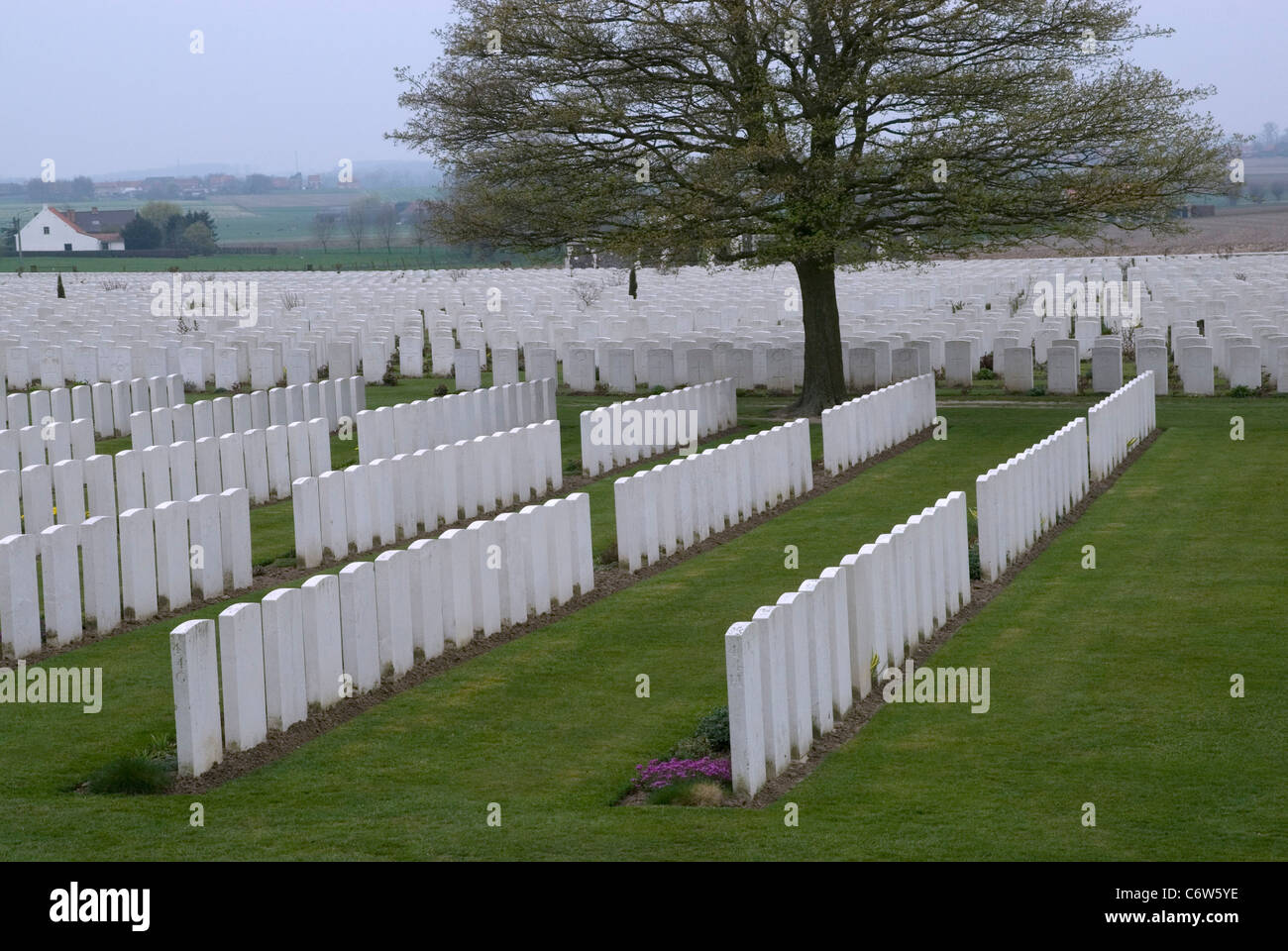 War Graves al Tyne Cot, Belgio Foto Stock