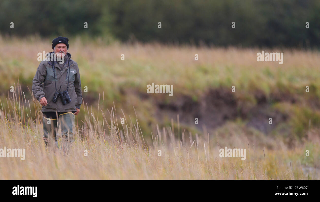 Una guida turistica scout in un campo per la North American orso bruno, il Parco Nazionale del Lago Clark, Alaska, Stati Uniti d'America Foto Stock