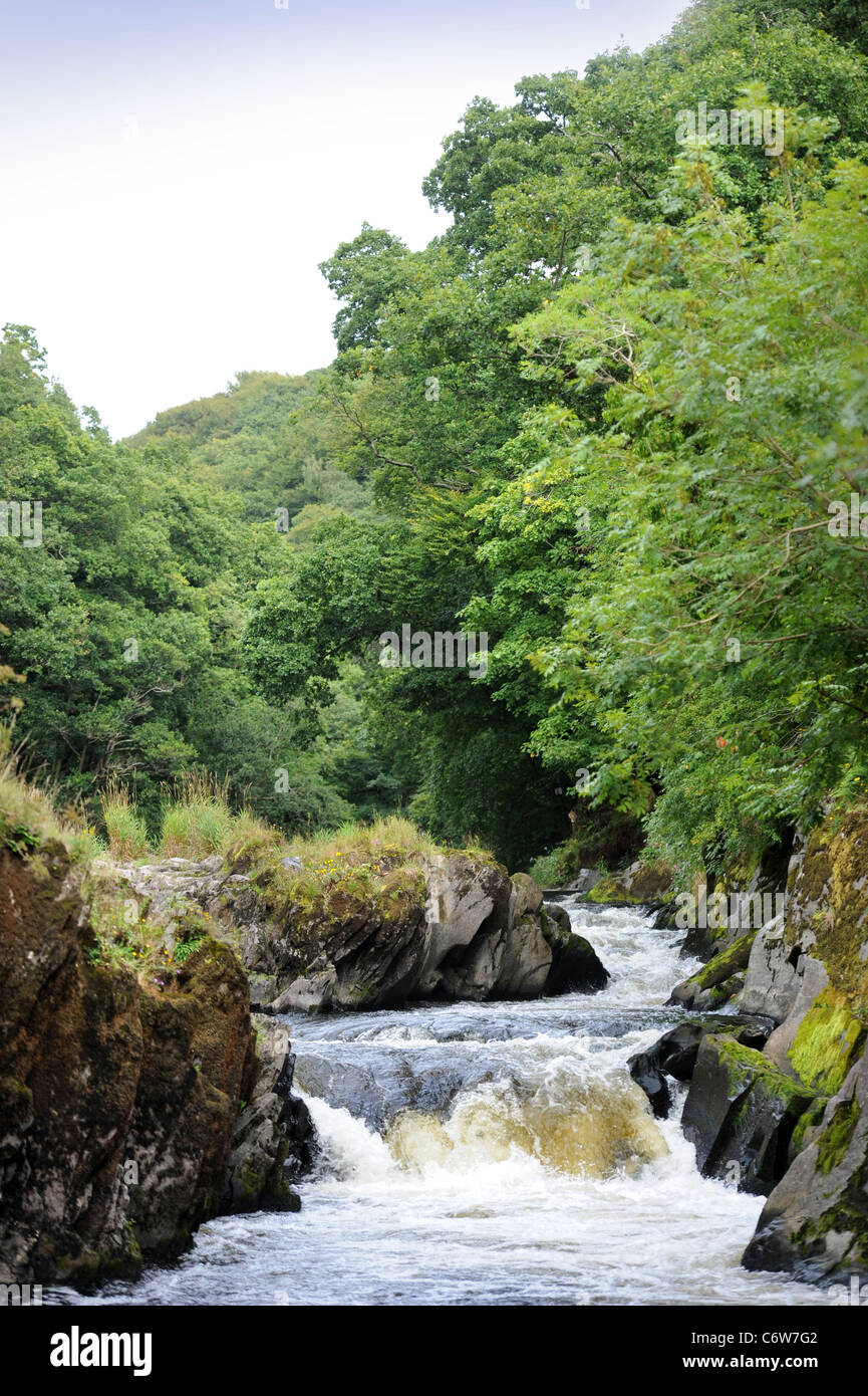 Il fiume Teifi Afon vicino Ponte Cenarth formando il confine tra Carmarthenshire e Ceredigion nel Galles occidentale Welsh REGNO UNITO Foto Stock