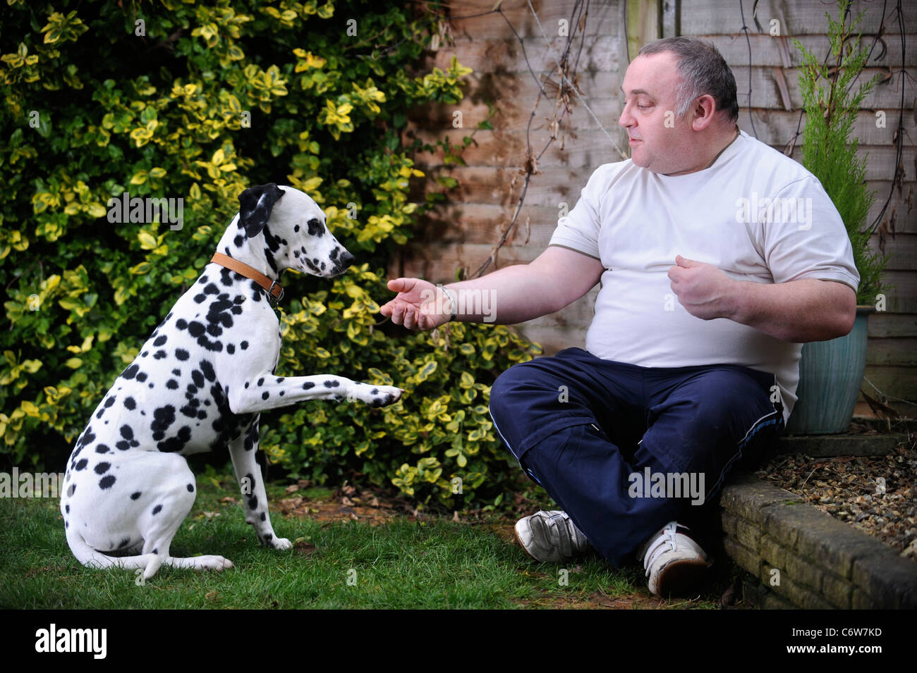 Un uomo della formazione il suo dalmata cane REGNO UNITO Foto Stock