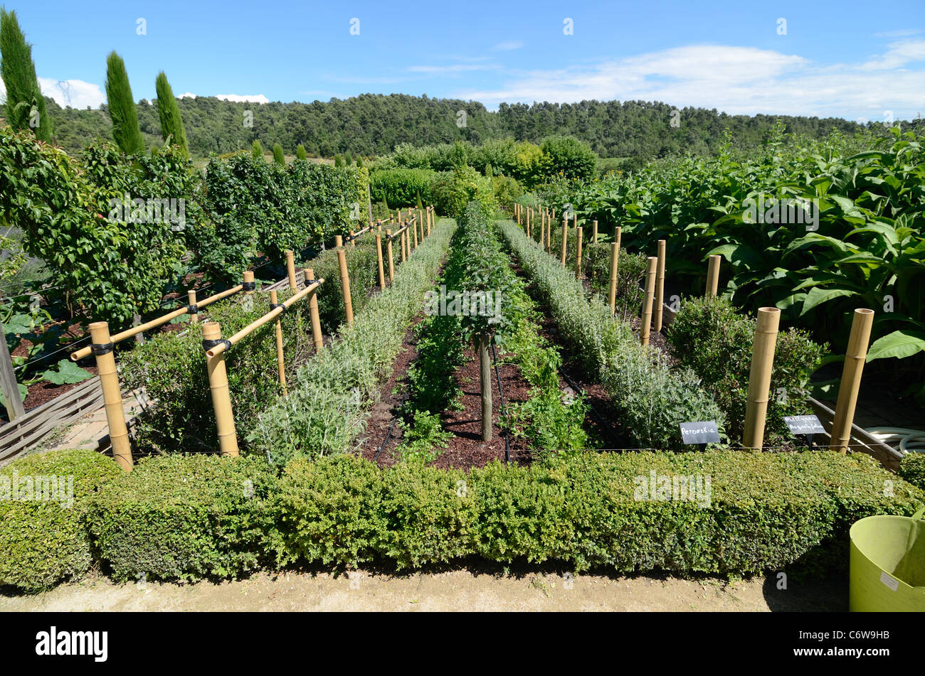 Orto o per frutta e verdura giardino, Val Joannis Gardens Pertuis Luberon Provence Francia Foto Stock