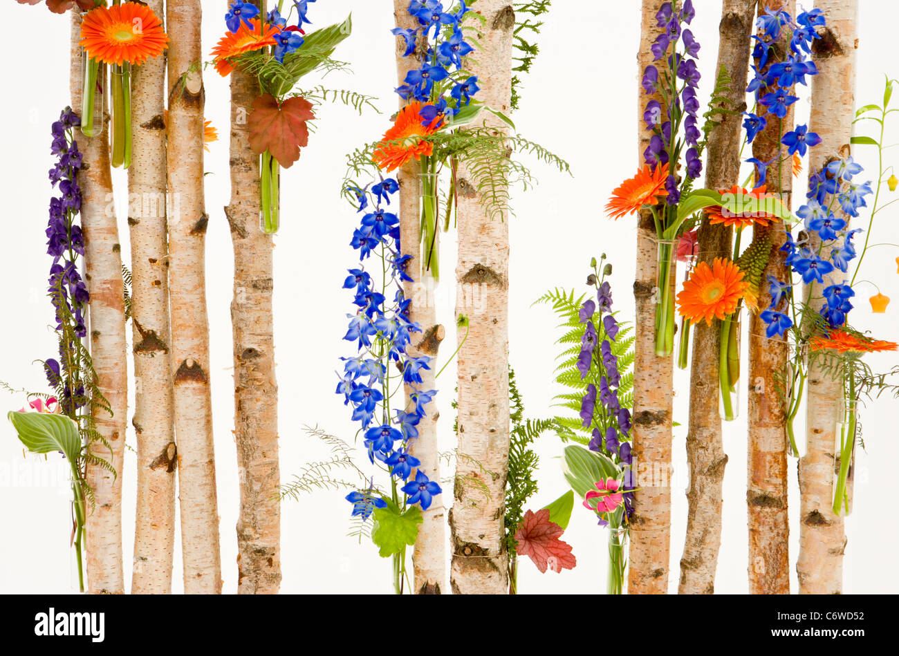 Aggiudicati Gold & migliori presentano in Floral Design Studio: NAFAS, Tatton Park RHS Flower Show 2011 Cheshire Foto Stock