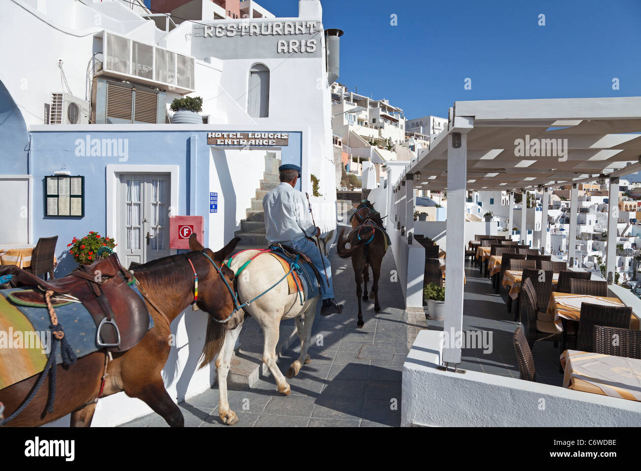 Santorini, Cicladi Grecia Foto Stock