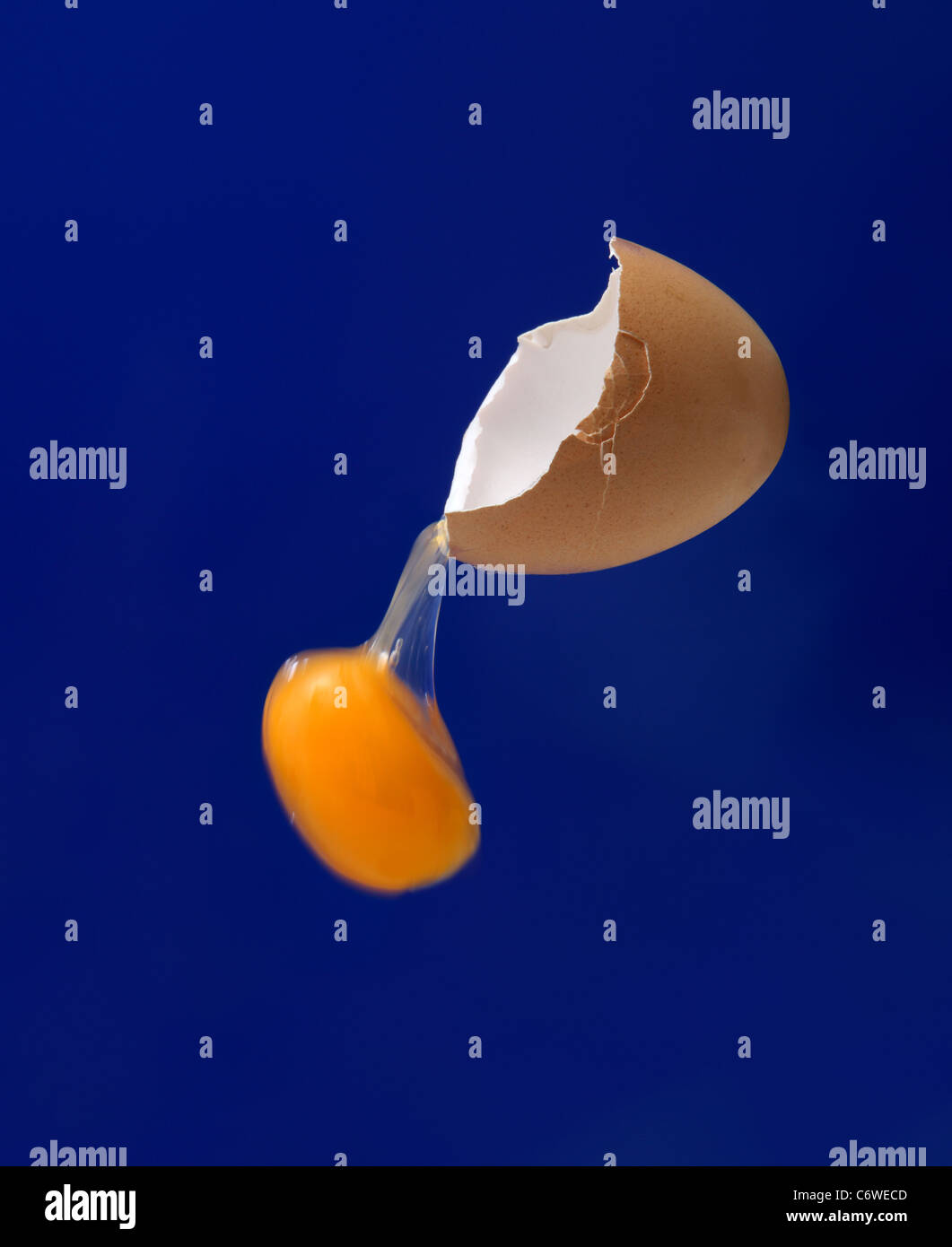 Un tuorlo d'uovo cadendo da un uovo non supportato shell su uno sfondo blu Foto Stock
