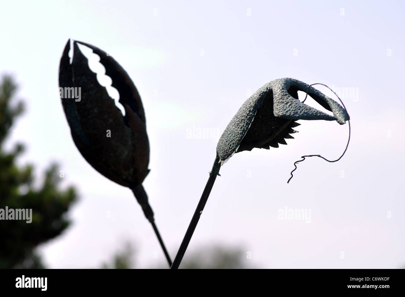 "Forme organiche' da Peter M Clarke, scultura a Leicester Botanic Garden, Regno Unito Foto Stock