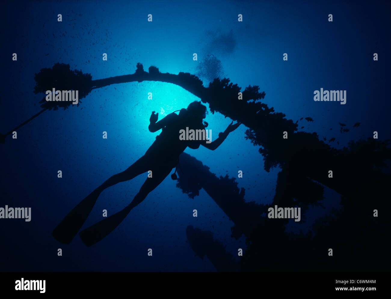 Sommozzatore esplorando un relitto coperto di corallo. Egitto, Mar Rosso Foto Stock