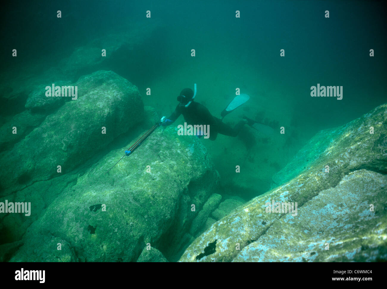 Pesca subacquea per la spigola. Les Minquiers, Bretagna, Francia, Oceano Atlantico Foto Stock