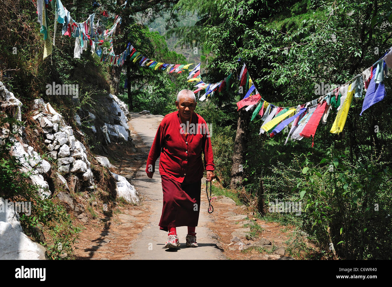 Tibetano monaco femmina passeggiate nella tranquilla poco pass. Foto Stock