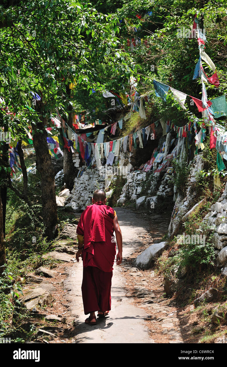 Monaco a piedi nella tranquilla poco pass. Foto Stock