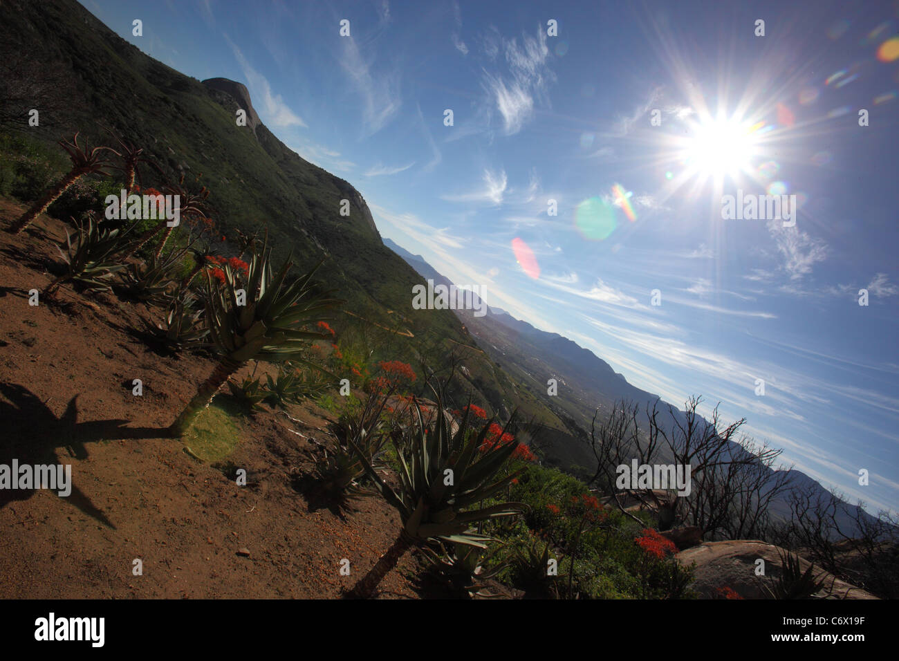 La vista di Paarl montagna all'Afrikaans Taal monumento di Paarl, Sud Africa. Foto Stock