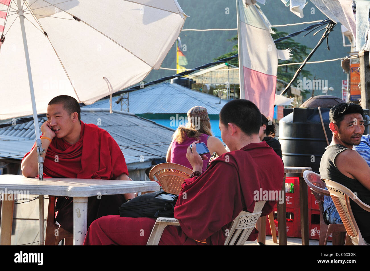 I giovani i lama sul ristorante sul tetto. Foto Stock