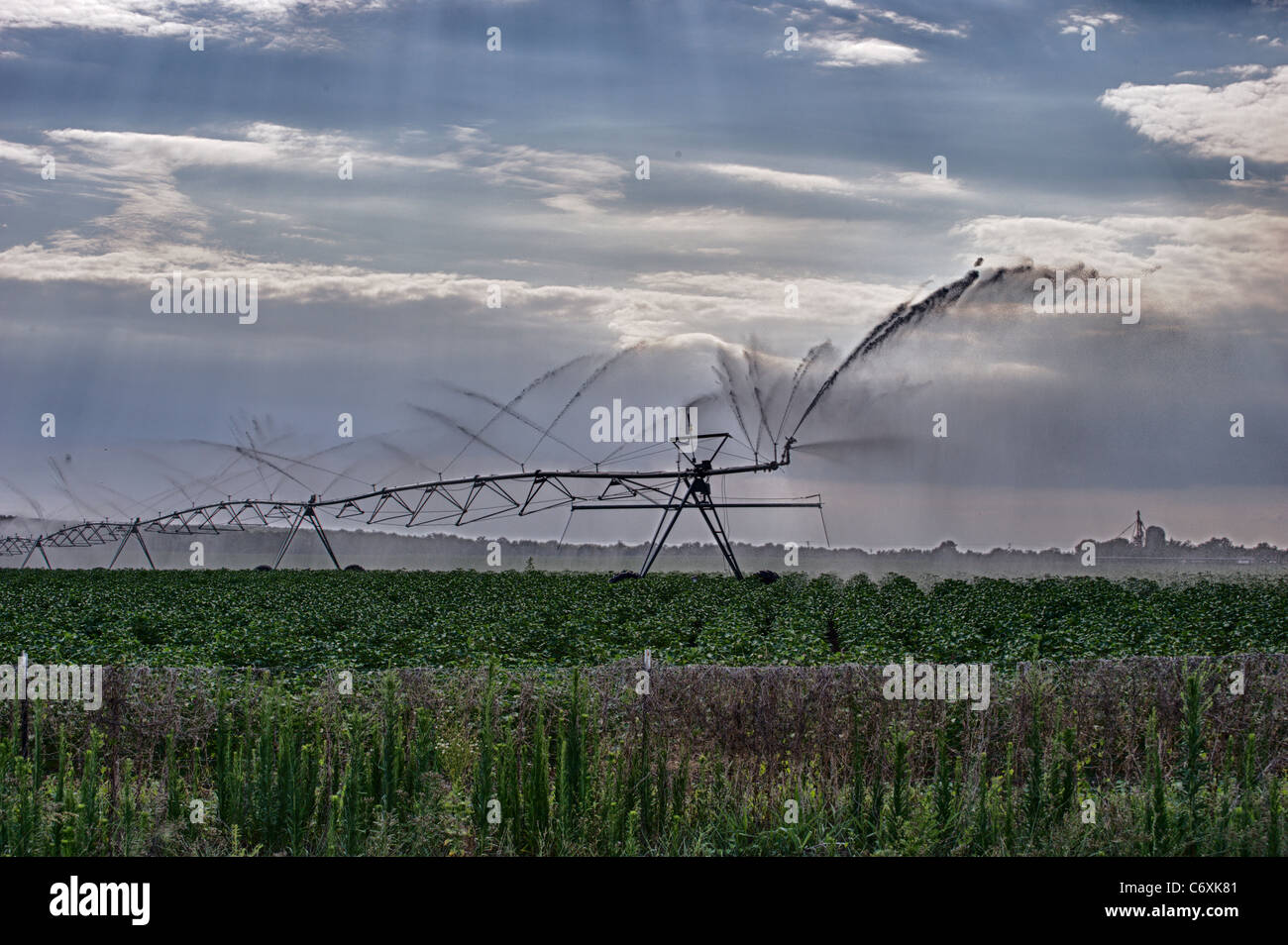 Un gigantesco sistema di sprinkler irriga un campo rurale. Foto Stock