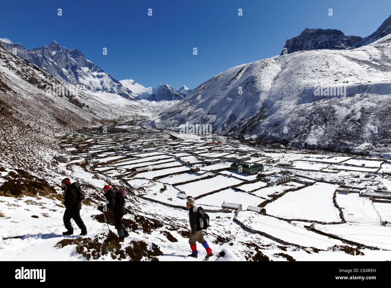 Trekking a piedi al di sopra della parete le penne di yak del villaggio Dingboche, Everest Regione, Nepal Foto Stock