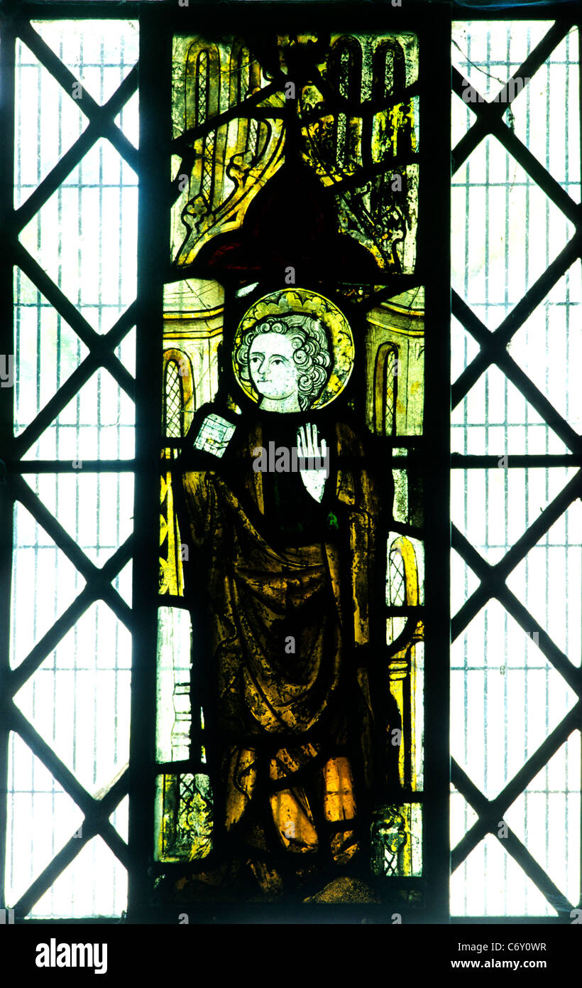 Mileham, Norfolk, XIV secolo il vetro macchiato, San Giovanni Evangelista, corridoio sud est maschio finestra saint santi chiesa inglese Foto Stock
