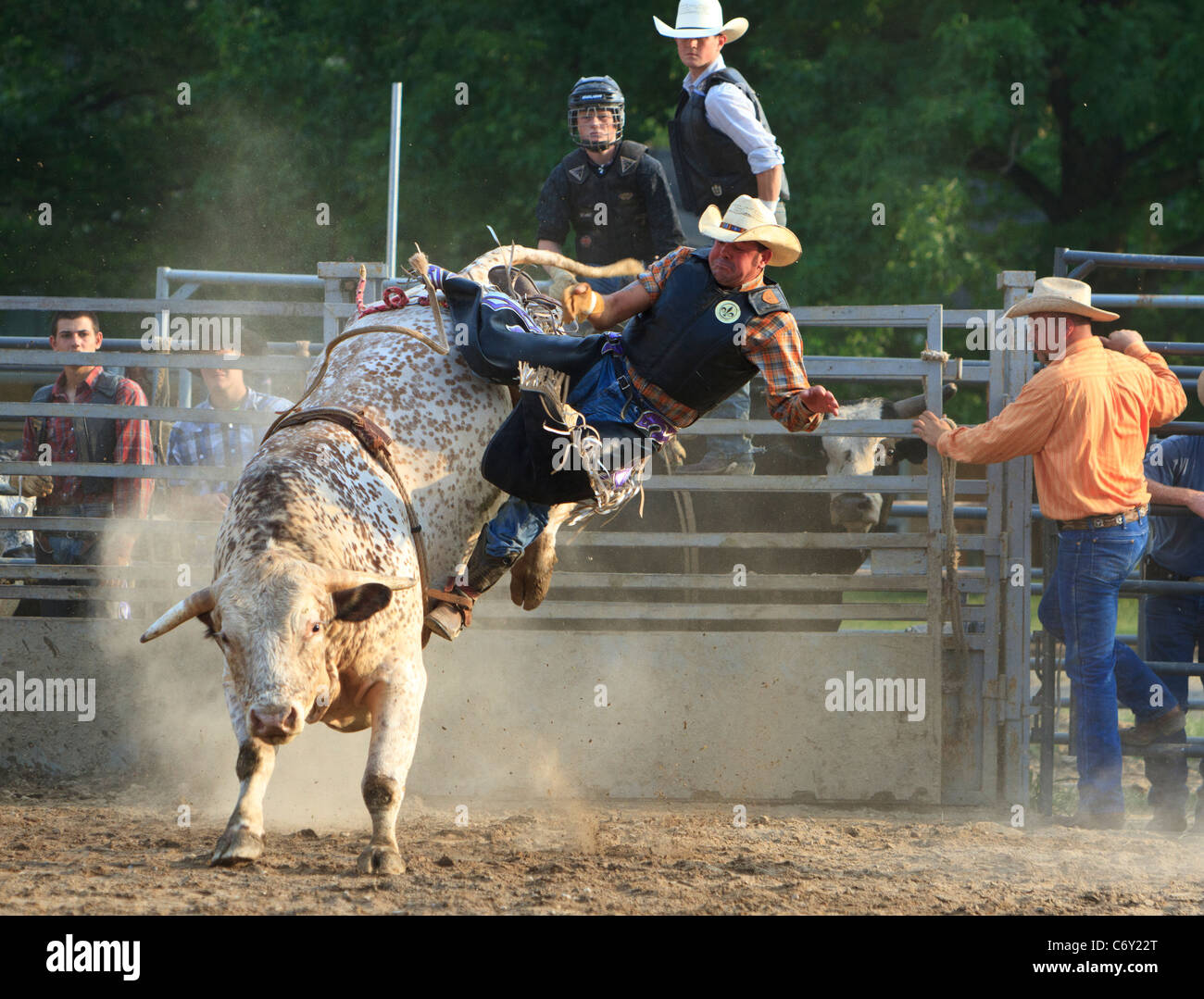 Cowboy essendo generata da un toro in un rodeo. Foto Stock