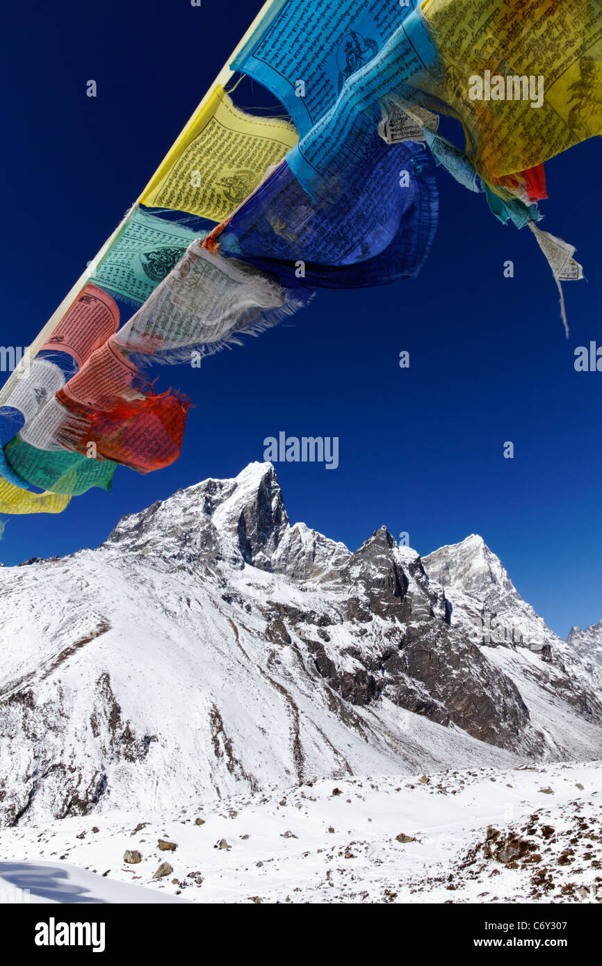 Bandiere di preghiera e le montagne nevose, Everest Regione, Nepal Foto Stock
