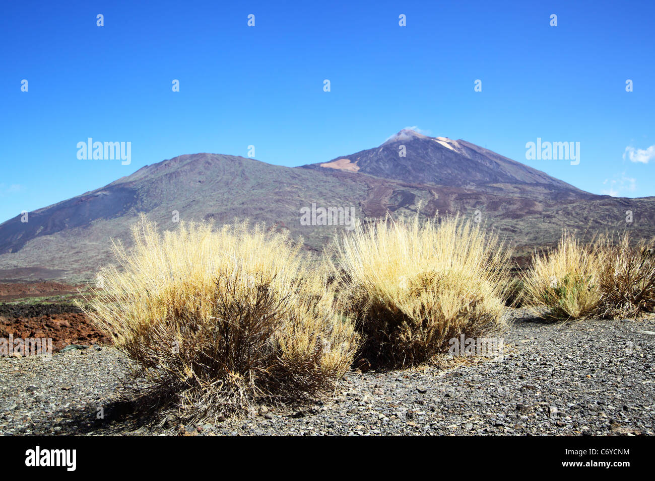 Vista del Vulcano Teide. Tenerife, Isole Canarie Foto Stock