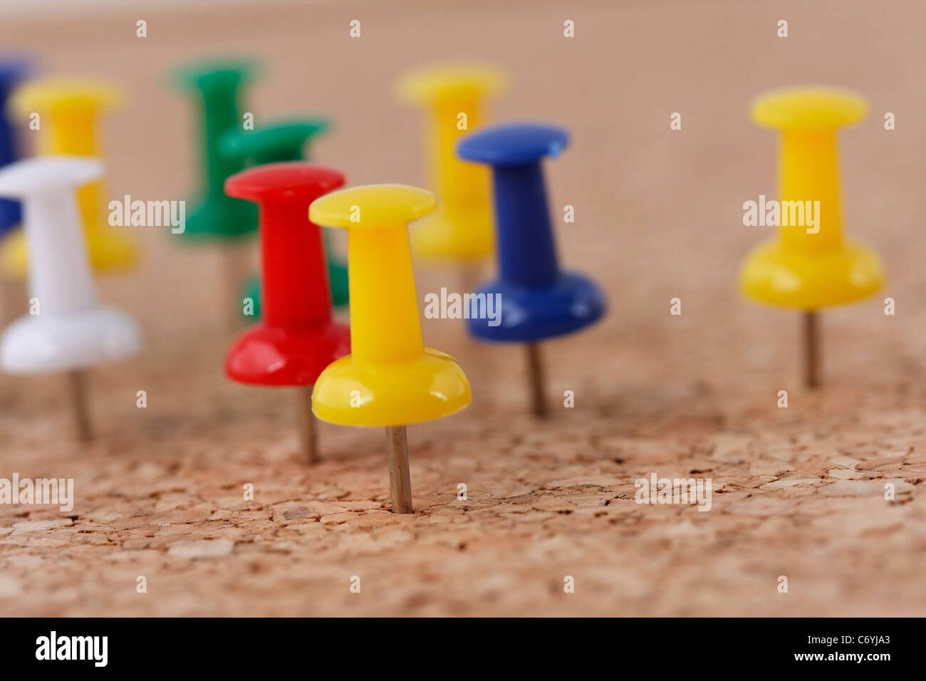 La disposizione delle puntine imperniata sulla bacheca di sughero Foto  stock - Alamy