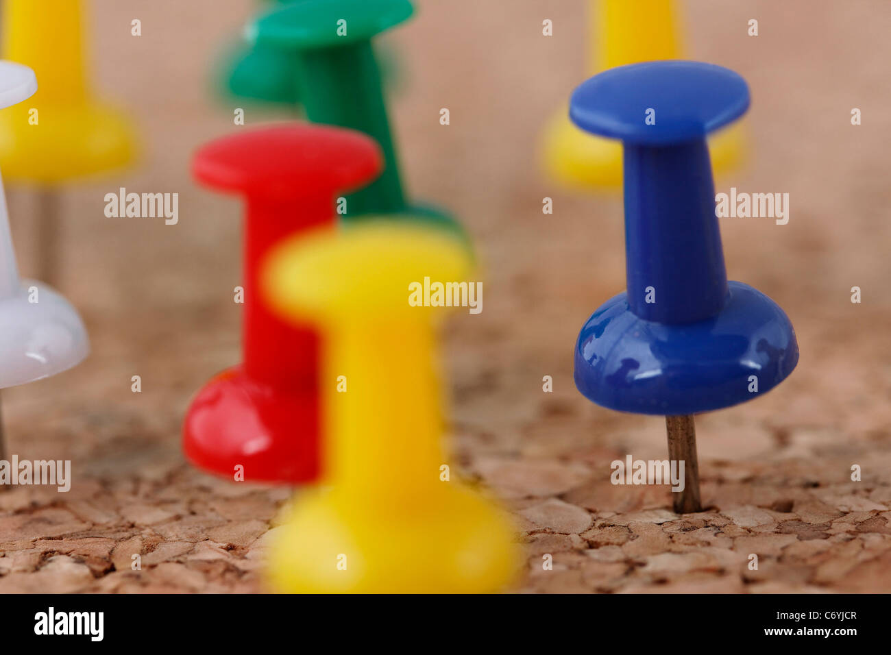 La disposizione delle puntine imperniata sulla bacheca di sughero Foto Stock