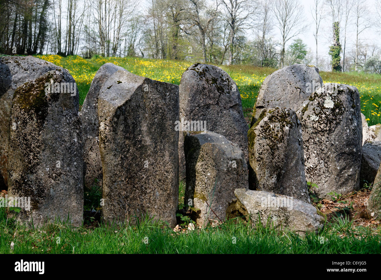 Sito megalitico : La table au diable (la tabella per il diavolo), Passais la concezione (Orne, in Normandia, Francia). Foto Stock