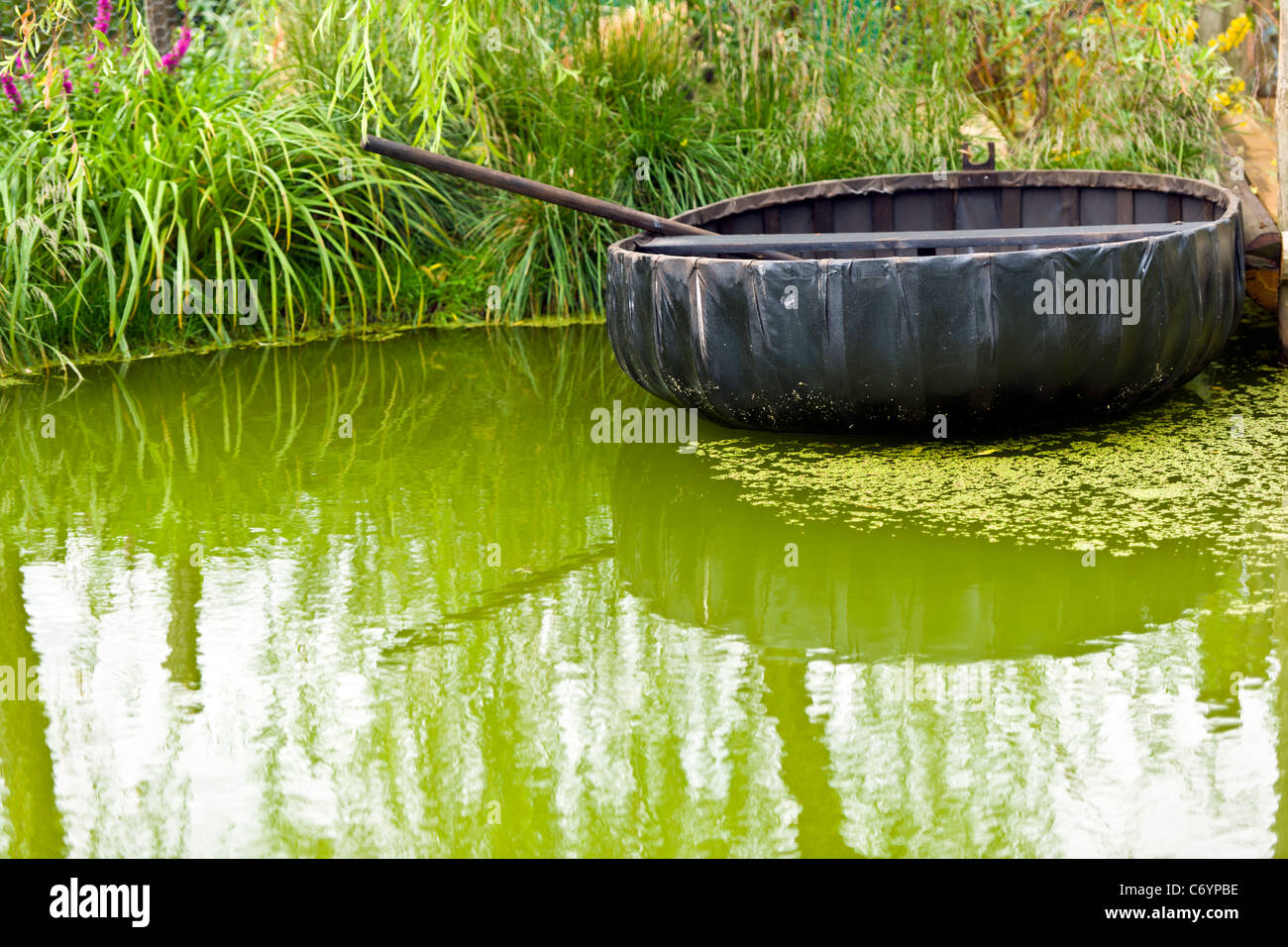 Coracle Foto Stock